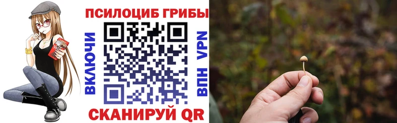 Купить закладки  Черногорск  Галлюциногенные грибы Cubensis 